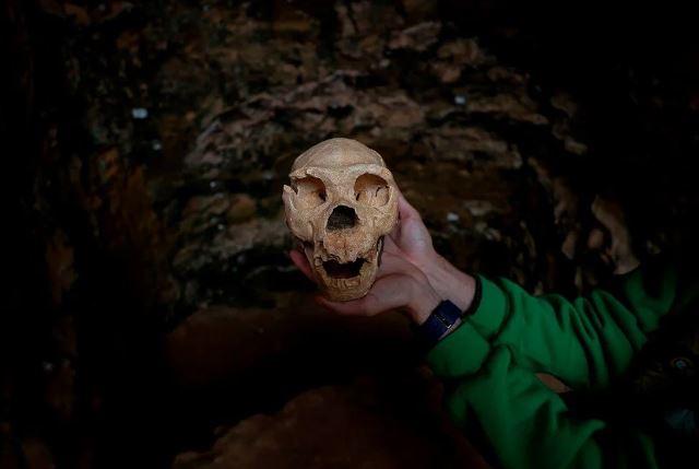 <p>Mevcut durumda Atapuerca'da 10 farklı kazı alanı olduğunu, bunlardan 3'ünde çalışmaların devam ettiğini ifade eden Martin, bu bölgedeki kazıların çok uzun yıllar devam edeceğini vurguladı.</p>
