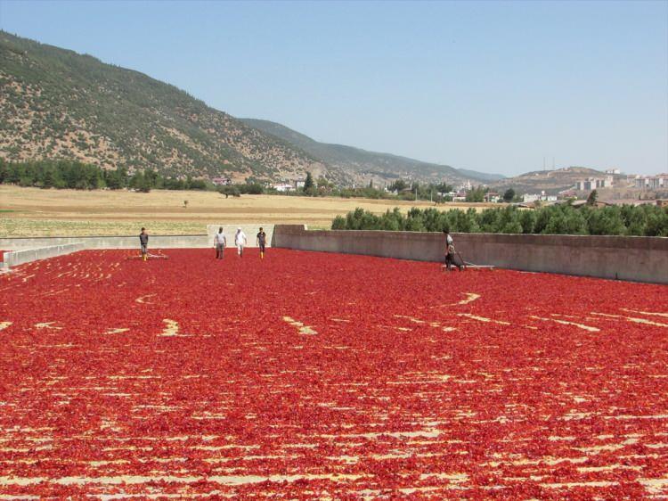 <p>Yenilenebilir enerjiden faydalanalım diye düşündük. Bunun bir kısmını biz kullanacağız bir kısmını ise sisteme göndereceğiz. Umarım diğer sanayicilere de bu sistem örnek olur."</p>