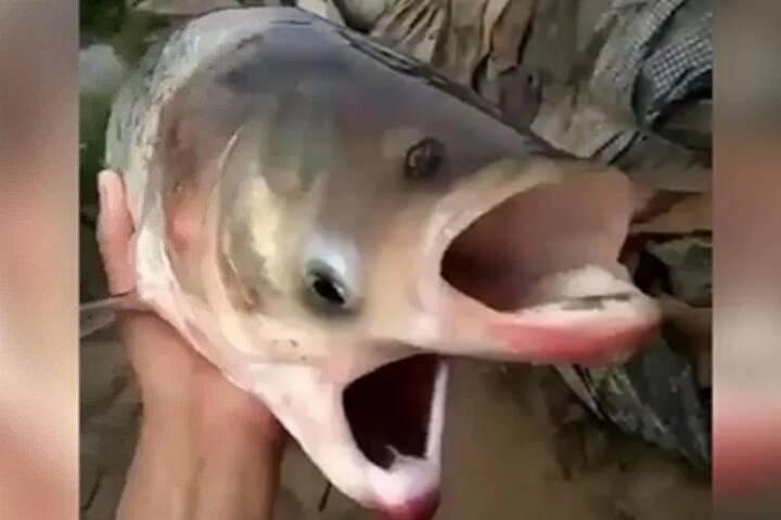 <p>Oddly Terrifying tarafından Twitter’dan yapılan bir paylaşım kısa sürede sosyal medyada gündem olmayı başardı.</p>

<p> </p>
