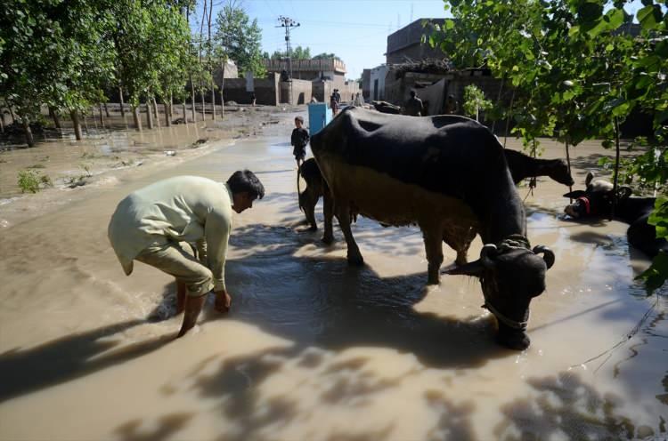 <p>Pakistan'da muson yağmurlarının yol açtığı sel felaketinde hayatını kaybedenlerin sayısı bin 663’e yükseldi.</p>

