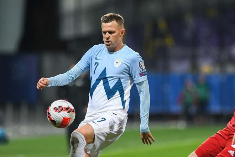 <p>Slovenya</p>
