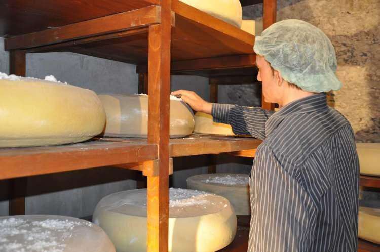 <p>Kars Peynir Müzesi girişinden itibaren ziyaretçilerini etkiliyor. Müze de ahır bölümü, içi süt dolu güğümler, yaylalardaki yaşam ve peynir yapımı, peynirin imalat serüveni anlatılırken; geçmişten günümüze peynir yapımında kullanılan araç ve gereçler de sergileniyor.</p>
