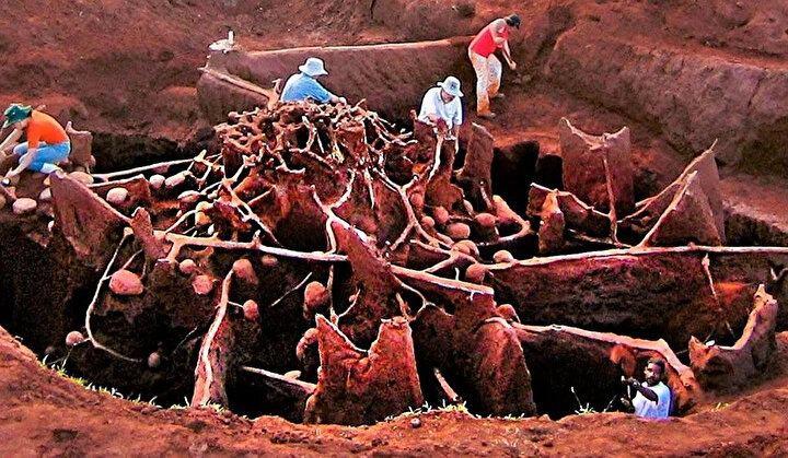 <p>Bilim insanlarının saydığına göre bu büyük karınca yuvasında tam 1920 oda yer alıyordu.</p>

<p> </p>
