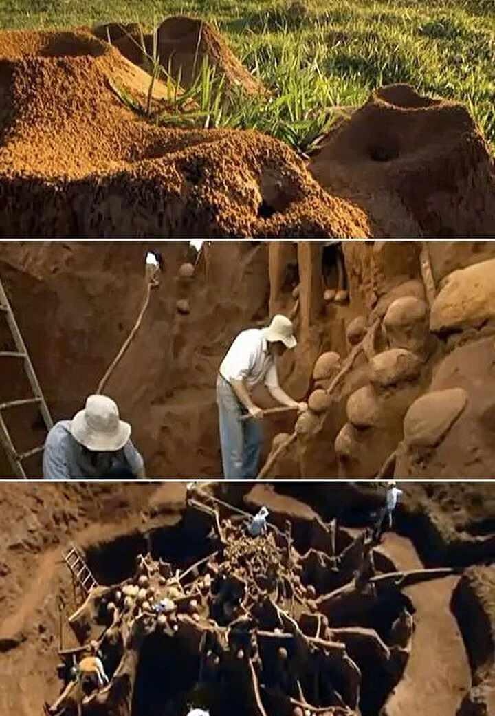 <p><strong>Karınca yuvasının otobanları</strong><br />
<br />
Karınca yuvası toplamda 67 metre karelik bir alana yayılıyordu. Mimari olarak insanoğlunun yaptığı şehirleri andıran bir yapısı vardı. Otoyollar, yan yollar, hatta patikalar vardı. Karınca yuvasındaki ulaşım ağı, iyi havalandırmaya izin verecek ve en kısa ulaşım yollarını sağlayacak şekilde tasarlanmıştı.</p>
