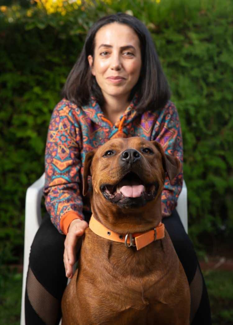 <p>Evinde kedi beslemeyi düşünenlere de kesinlikle almaları tavsiyesinde bulunan Yıldız, "Her eve bir pati diyoruz zaten." ifadelerini kullandı.</p>
<p> </p>