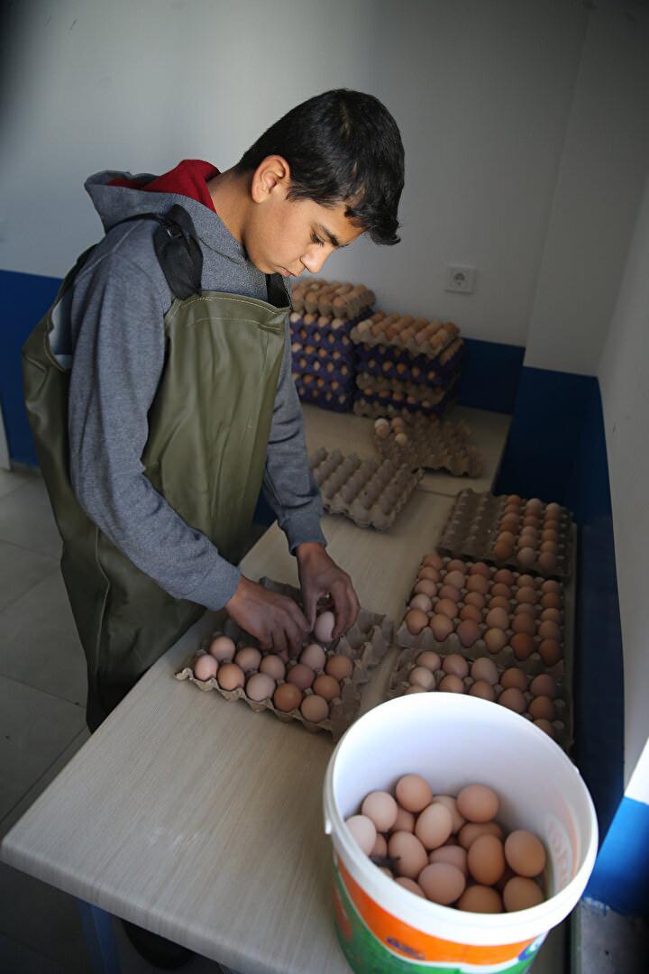 <p> Öğrencilerimiz teorik eğitimlerini sınıfta aldıktan sonra kümeste uygulamalı eğitimler yapıyor. Uygulamada gerek hayvan sağlığı gerekse hayvan yetiştiriciliği anlamında tüm bilgiler veriliyor."</p>
