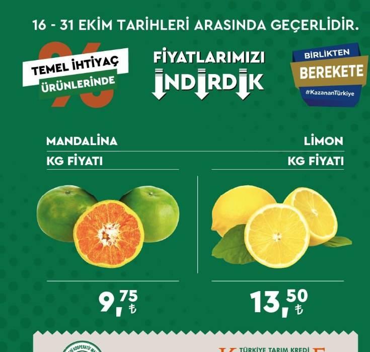 <p>Mandalina</p> <p>Kilo fiyatı - 9,75 TL<br /> <br /> Limon</p><ins class=
