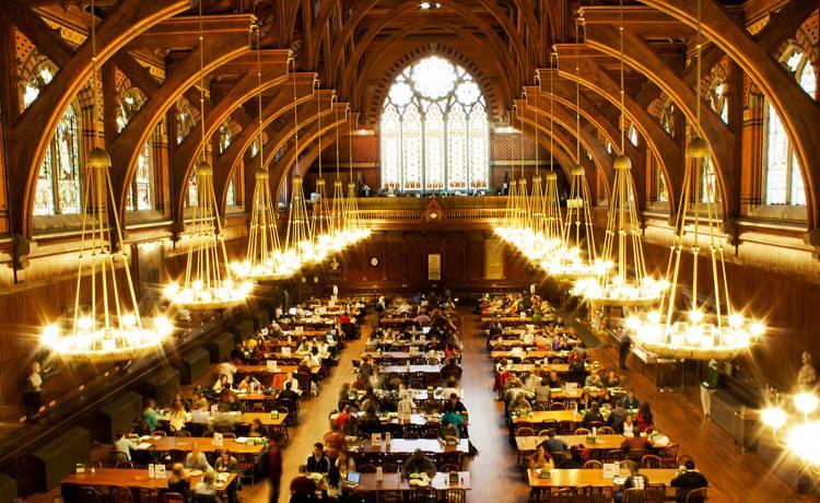 <p>2 - Harvard University / ABD</p>
