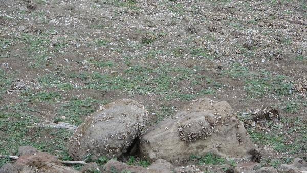 <p>Bundan sonra en değerli materyalin su olduğunu bilmek zorundayız. Sağlıklı, içilebilir, temiz su kaynağı hepimiz için bundan sonra en değerli materyal. Bu nedenle vatandaşlarımızdan tasarrufta bulunmalarını ve bunu alışkanlığa dönüştürmelerini istiyoruz" dedi.</p>