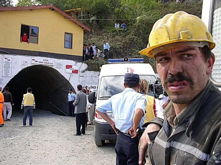 <p><strong>Kastamonu - Küre (2004)</strong></p>
