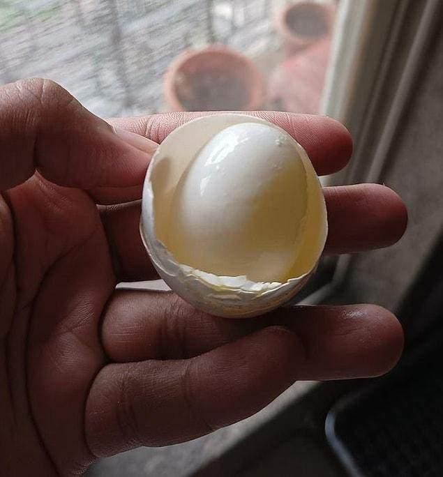<p>Yumurtlayan yumurta</p>
