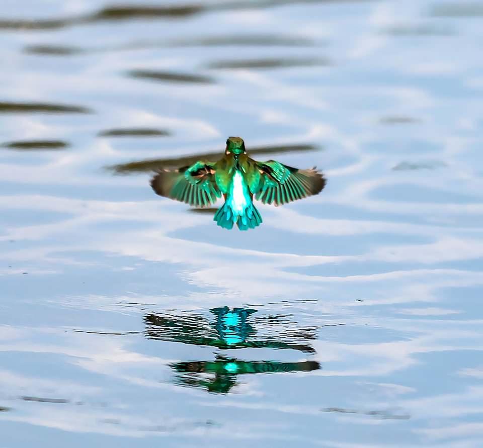 <p><strong>'İLK ZİYARET&Ccedil;İMİZ G&Uuml;ZEL POZLAR VERDİ'</strong></p>

<p>Antalya Kuş G&ouml;zlem Topluluğu olarak her yıl bahar g&ouml;&ccedil;&uuml;n&uuml; izlemek i&ccedil;in kuş g&ouml;zlem kampı d&uuml;zenlediklerini s&ouml;yleyen Erturhan, "2022 bahar kampı i&ccedil;in tasarımcı arkadaşım Kezban Tatlı ile birlikte Antalya temalı bir t&uuml;nek d&uuml;ş&uuml;nd&uuml;k ve yaptık.&nbsp;</p>
