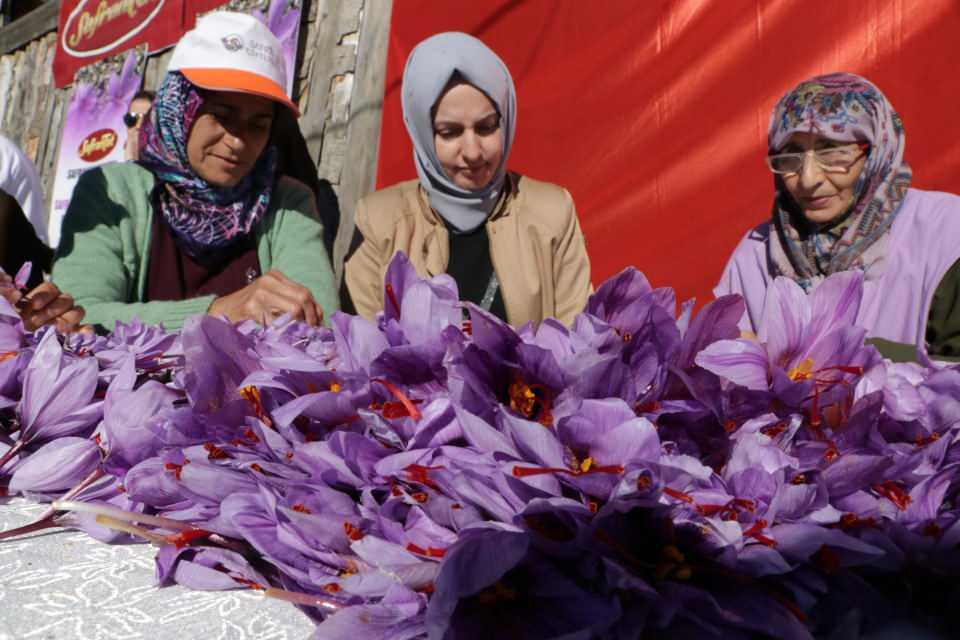 <p>Konuşmaların ardından protokol üyelerinin katılımıyla safran hasadı yapıldı.</p>

<p> </p>
