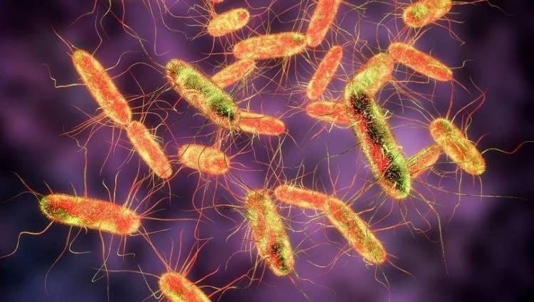 <p><strong>Daha sonra, Salmonella'nın varlığını test etmek için mutfaklar temizlendi. Fakat elde edilen verilere göre; yaygın kirlenmeye sahip nesne baharat kaplarıydı. Bunların yaklaşık yarısında, yüzde 48'inde madde bulundu.</strong></p>
<p> </p>
