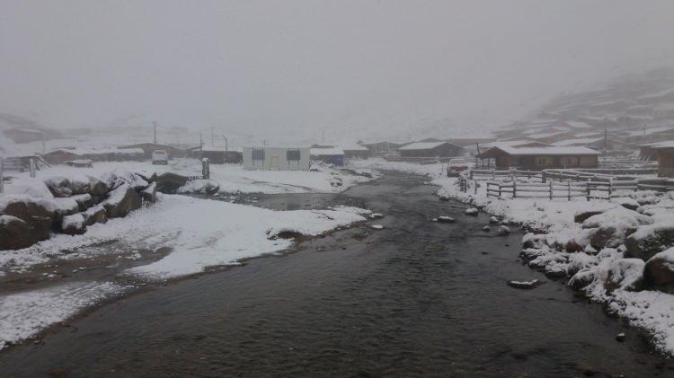 <p>RİZE</p>
