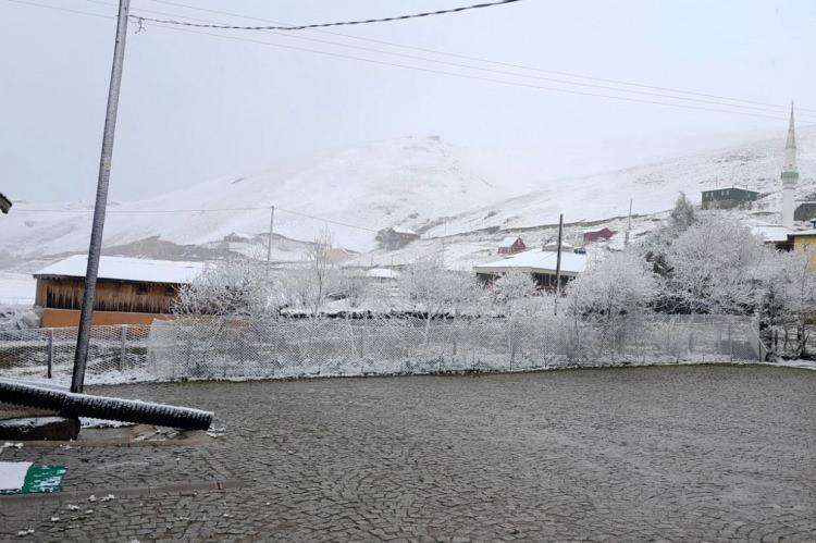 <p>GÜMÜŞHANE</p>
