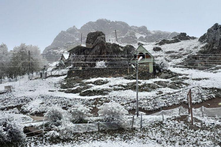 <p>GÜMÜŞHANE</p>
