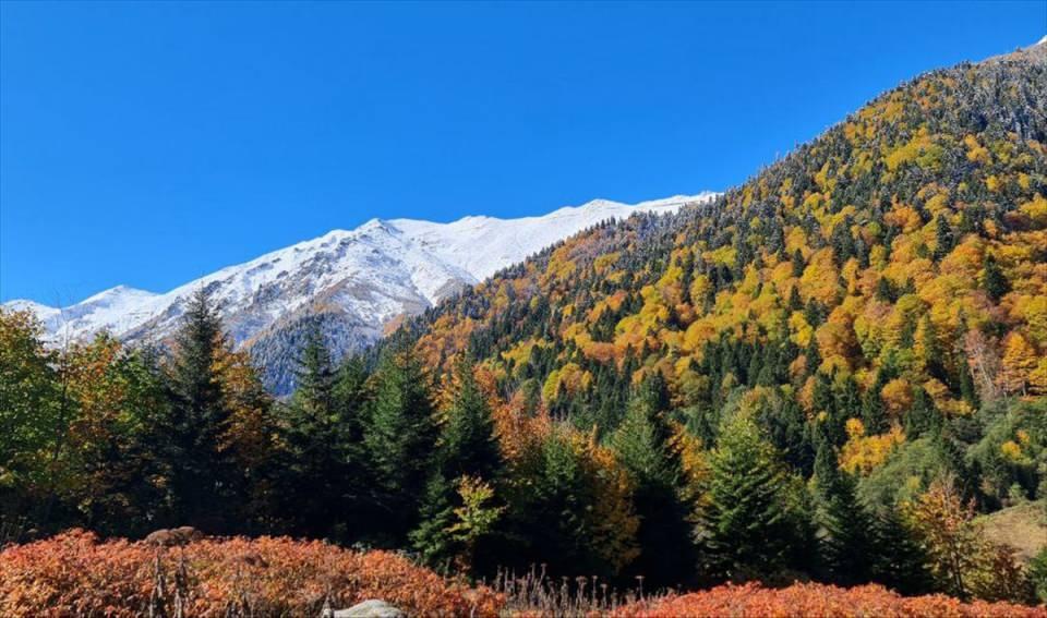 <p>Rize'nin Çamlıhemşin ilçesindeki Kaçkar Dağları ve çevresinde bulunan yaylalar, ziyaretçilerine sonbahar ve kışı bir arada yaşatıyor.</p>

<p> </p>
