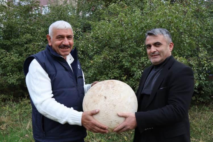<p>Kemerkaya köyünün güney yamaçlarında pazar yürüyüşü yapan Beycan Onat'ın bulduğu 8,885 kilogramlık mantarı görenler şaşırdı. </p>
