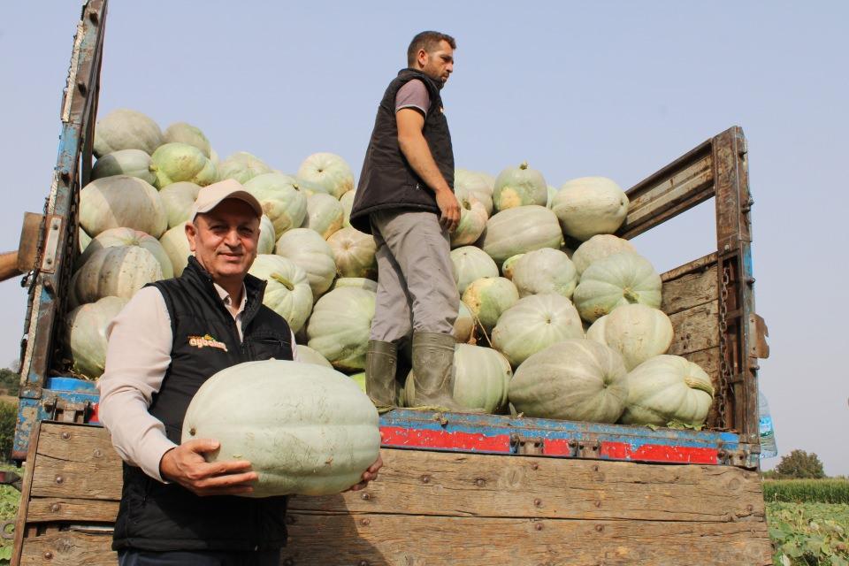 <p>Yılda yaklaşık 350 ile 400 ton arasında kabak işliyoruz. Türkiye’nin her tarafına en iyi elit restoranlarına, otellerine kabaklarımızı gönderiyoruz. Dönem dönem yurtdışına da gönderiyoruz. Bu yılki hedefimiz de 350 ton kabak işlemek” dedi.</p>

<p>“Her kabakla tatlı olmaz”<br />
Ata tohumu geleneğinin sürdürerek özel dikim yaptıklarını sözlerine ekleyen Barut; “Özel dikim yapıyoruz ve ata tohumlarımızı kullanıyoruz. Aynı zamanda ata tohumu geleneğimizi sürdürüyoruz. Bu Aydın bölgesine özel bir kabak. Yani lif yapısı ve dokusunun sıkı olmasından dolayı bizim tatlımız için çok uygun bir kabak. Zaten Aydın yöresinin kabak tatlısı her kabakla olmaz” dedi.</p>

<p> </p>
