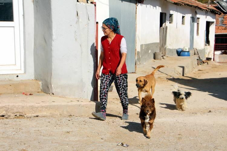 <p><strong>Kendi hayvanlarım da komşumuzun hayvanları da öldü, çok üzüldüm. Zehir verilerek öldürülen köpeklerden birinin 6 yavrusu vardı" </strong>dedi. </p>