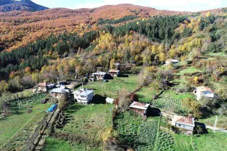 <p>Kastamonu - 559 bin 3 kişi</p>
