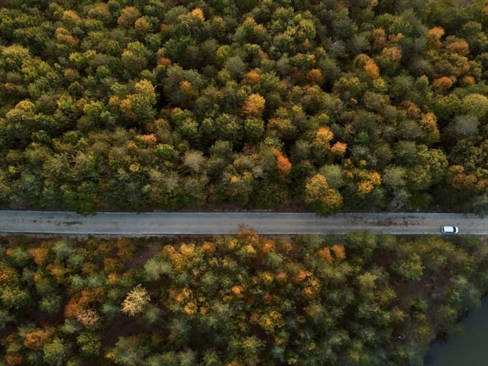 <p>Kaynaşlı'nın 15 kilometre kuzeyinde bulunan ve 11 yıl önce Tabiat Parkı olarak tescillenen Kurugöl, sonbaharda fotoğraf tutkunları ve doğaseverlerin uğrak yeri oldu.</p>

<p> </p>
