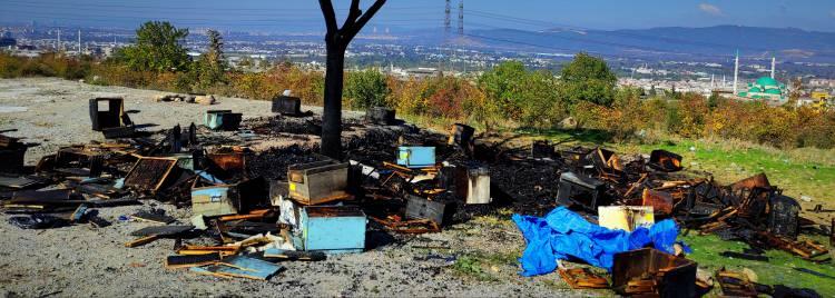 <p> Maddi değeri 250 bin lira olan arıları yanan Demircioğlu büyük üzüntü yaşadı.</p>
