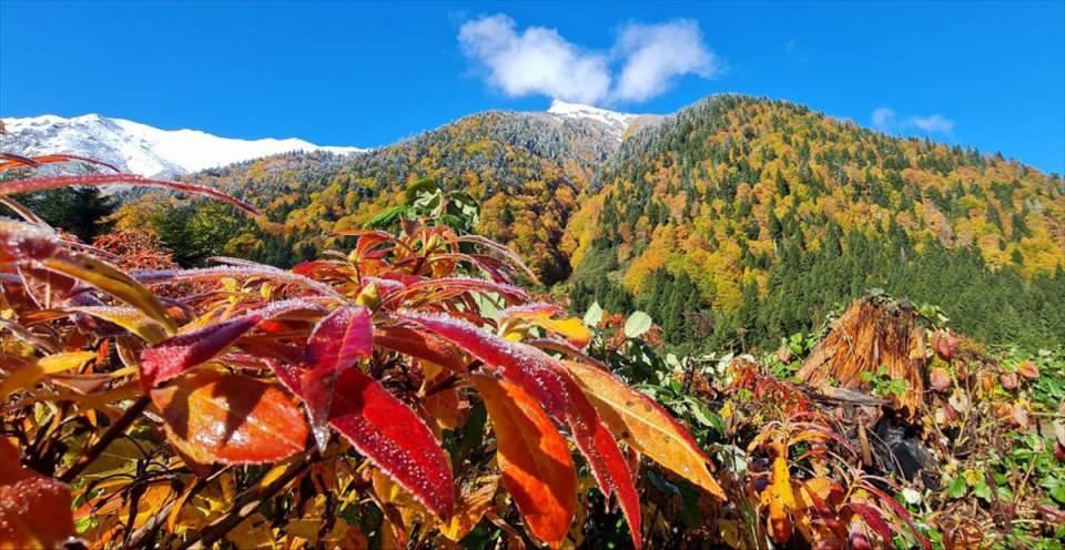 <p>Sonbahar ve kışın etkileyici güzelliğini bir arada görmek isteyen misafirlerin Ayder Yaylası'ndan başlayan yolculuğu, Huser, Samistal, Kavrun, Pokut ve Sal yaylalarına kadar sürüyor.</p>
<p> </p>