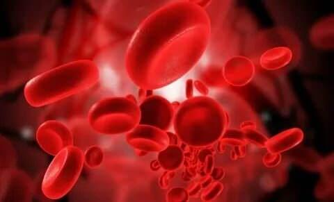 <p><span style="color:#000000"><strong>Kan grubu insanların kanlarında bulunan antijen ve antikorlara bakılarak yapılan bir gruplama sistemidir.  İnsanlarda A, B, AB ve 0 kan grupları bulunuyor. </strong></span></p>

