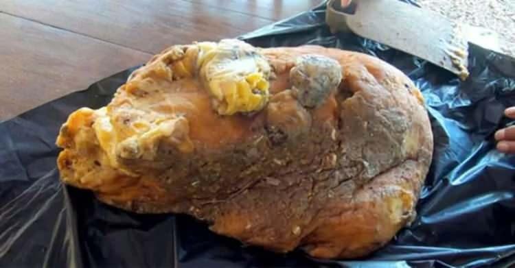 <p>Ambergris olarak da adlandırılan balina kusmuğu farklı sekt&ouml;rlerde kullanılan ve &uuml;retimi olduk&ccedil;a az olan bir madde olarak biliniyor. Balinanın &uuml;rettiği bu kısım &ouml;zellikle koku sekt&ouml;r&uuml;nde kullanılıyor.</p>
