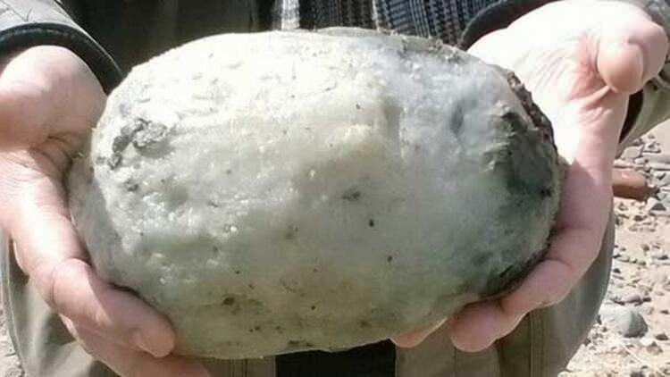 <p>Balinanın sindirim sisteminde &uuml;retilen bu madde, sivri ve sert cisimlerin bağırsaklarda kaymasını sağlıyor. İlk &uuml;retildiğinde, dışkı kokan amber sonradan tazeleyici esanslara sahip g&uuml;&ccedil;l&uuml; bir kimyasala d&ouml;n&uuml;ş&uuml;yor.</p>

<p>&nbsp;</p>
