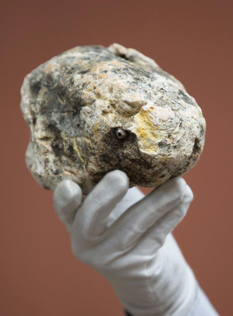 <p><strong>NEDEN DEĞERLİDİR?</strong></p>

<p>Balina Kusmuğu doğal bir madde olduğundan kimyasal reaksiyonlardan daha kuvvetlidir. Parf&uuml;m&uuml;n kalıcılığının da artmasına neden olan amberi bu nedenle pahalıya satılır. Daha &ccedil;ok Atlantik Okyanusu&rsquo;na sahili bulunan Brezilya, Maldivler, Yeni Zelanda gibi &uuml;lkelerde denk gelir.</p>
