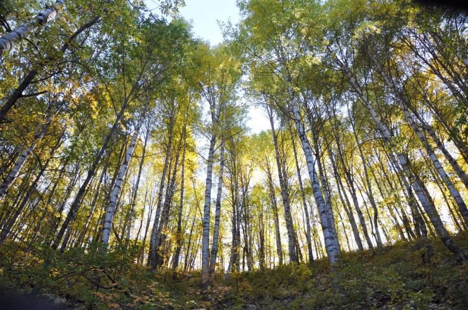 <p>Bu çerçevede Kredi ve Yurtlar Kurumu (KYK) tarafından da öğrencilerin hafta sonlarını değerlendirmeleri amacıyla Pülümür ilçesine bağlı Salördek köyüne gezi düzenlendi.</p>
