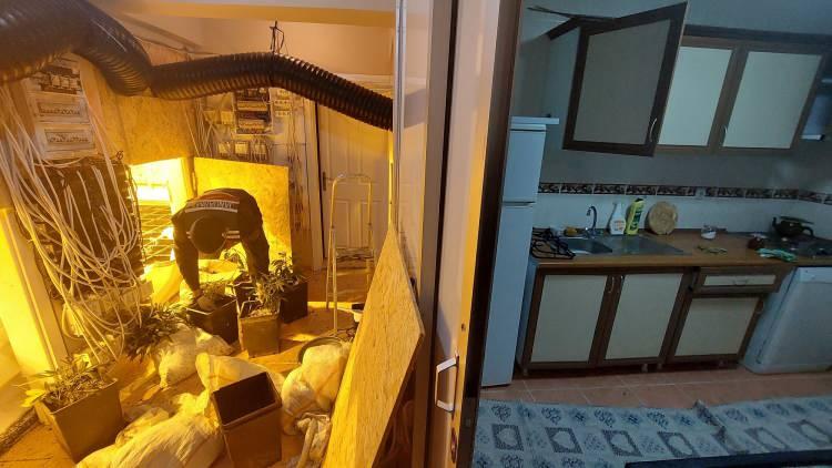 <p>Tekirdağ’da jandarma ekiplerince 2 katlı villaya düzenlenen uyuşturucu operasyonunda villanın özel bölümlerinde oluşturulan seralarda bin 300 kök kenevir bitkisi ele geçirildi.</p>
