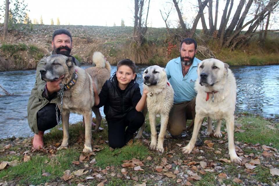 <p>Siz doğal bir Kangal ırkı besliyorsunuz, dağdaki yaşayan kurtlar nasıl yaşıyorsa, ihtiyaçlarını nasıl gideriyorlarsa bizler de bizim elimizden ama onların doğal bir ırk olduğunu unutmadan beslememiz lazım” şeklinde konuştu.</p>

