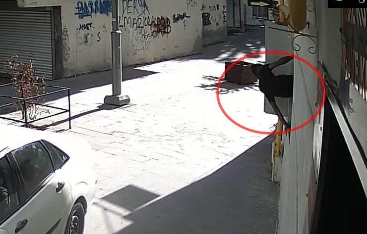 <p>Şüpheli, aynı yöntemle pencereden geri çıktı. Şüphelinin çıkarken pantolonu düştü. </p>
