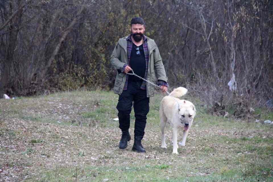 <p>Ünü Türkiye sınırlarını aşan, güç ve zekaları ile dikkat çeken Kangal köpekleri kış aylarını daha çok seviyor. Kış aylarında eksi 40 dereceye kadar yaşamlarını sürdürebilen Kangal köpeği sahipleri bazı konulara dikkat etmesi gerekiyor. </p>

<p> </p>
