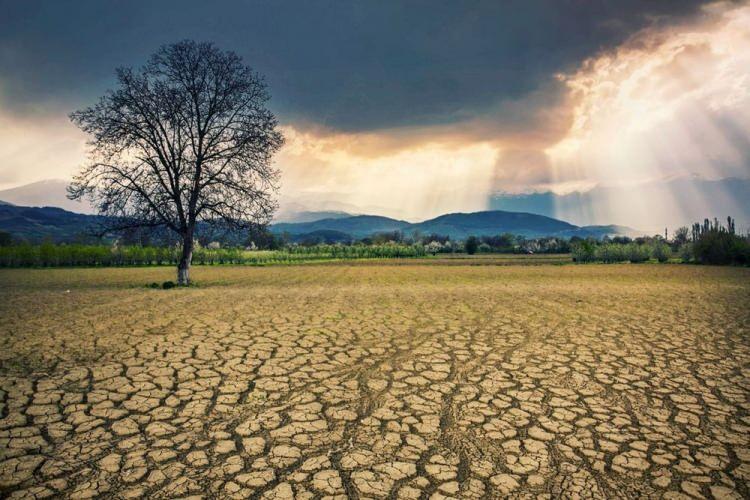 <p><strong>DÜNYA HASTALANIYOR</strong></p>
<p>Son yıllarda küresel anlamda sıcaklığın karalar üzerinde 1,6 derece, denizler üzerinde 0,88 derece arttığını kaydeden Prof. Dr. Çiçek, "Küresel ortalamaya bakarsak 1900'lü yıllardan sonra sıcaklık 1,09 derece arttı. </p>