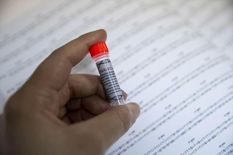 <p><strong>"Dünya üzerinde üretilmiş bütün bilgileri DNA şeklinde depolayabiliriz"</strong></p>

<p>Fakülte bilgisinin, depolama olarak çok küçük bir alanı kapladığını vurgulayan Bilgen, şöyle devam etti:</p>

<p>"Bu zamana kadar dünya üzerinde üretilmiş bütün bilgileri DNA şeklinde depolayabiliriz. Bu çalışma, dünyanın problemi olan veri depolama sorununa çözüm olabilir. Nitekim şöyle de bir gerçek var. Bu zamana kadar çekilmiş bütün filmler, DNA'ya kodlandığında sadece bir küp şekeri kadar yer kaplar. Fotoğraf, video, filmler, müzik, yazılı metinler gibi bütün bilgiler DNA'ya dönüştürülüp saklanabilir."</p>
