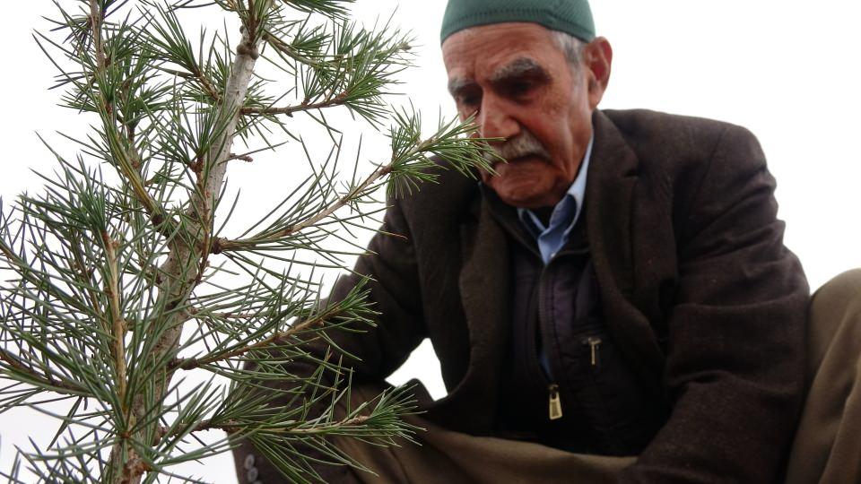 <p>Elazığ’da çocukluk hayali olan bir orman oluşturmak için kolları sıvayan 74 yaşındaki İsmail Yılmaz, çorak arazideki taşları tek tek toplayıp önce kule yaptı, sonrasında alanda onlarca fidanı toprakla buluşturdu. </p>

<p> </p>

