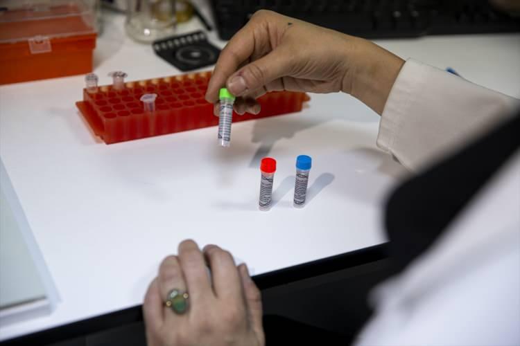 <p>Literatür okumaları yaptığı sırada sentetik DNA'da bilgi depolanmasıyla ilgili çalışmaların karşısına çıktığını anlatan Bilgen, "Araştırdığımda Türkiye'de daha önce sentetik DNA'nın bilgi depolama aracı olarak kullanılmadığını gördüm. 'Bunu biz yapalım o zaman' dedim." ifadelerini kullandı.</p>