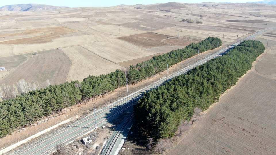<p><strong>“Karı engellisin de demir yolunu kapatmasın diye ektiler”</strong><br />
<br />
Köy sakinlerinden İsmail Gözübek, rayları kardan korumak için ağaçların dikildiğini söyleyerek, “Devlet Demiryolunun boş arazisi vardı. Bu arazi boş durmasın, hem de kar çok yağıyordu o zamanlar, rayları kapatıyordu. </p>
