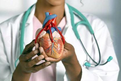<p><span style="color:#B22222"><strong>160.000 KİŞİ KALP TIKANIKLIĞI SONUCU HAYATINI KAYBEDİYOR</strong></span></p>

<p><strong>Kalp ve Damar Cerrahisi Uzmanı Doç. Dr. Macit Bitargil Ülkemizde her yıl bin kişiden ikisinin yani yaklaşık 160.000 kişinin kalp damarlarındaki tıkanıklığa bağlı olarak hayatını kaybettiğini söyledi.</strong></p>
