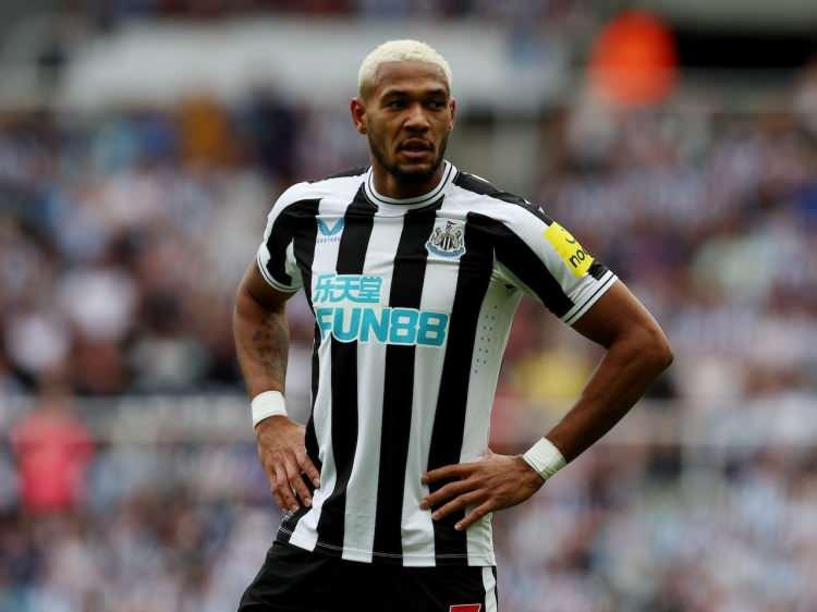 <p>Joelinton / Newcastle United / Brezilya</p>
