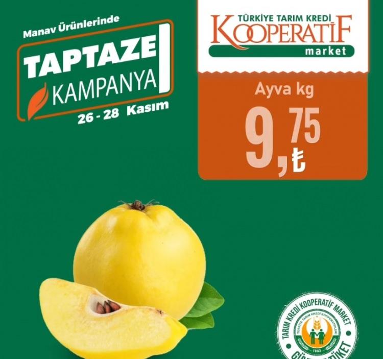 <p>Ayva kilo: 9,75 TL</p>