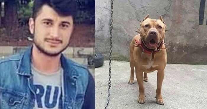<p>KÖPEK ISIRMASI VE ÖLÜM ARASINDA BAĞLANTI KURULAMADI</p>
<p>Görgü tanıkları Oğuzhan Doğan'ın denizdeyken "Yusuf köpek beni ısırıyor" diye bağırdığını ve sonrasında 2-3 dakika çırpınıp battığını söylese de savcılık Doğan'ın ölümüyle köpeğin ısırması arasında bağlantı bulamadığını belirtti. </p>