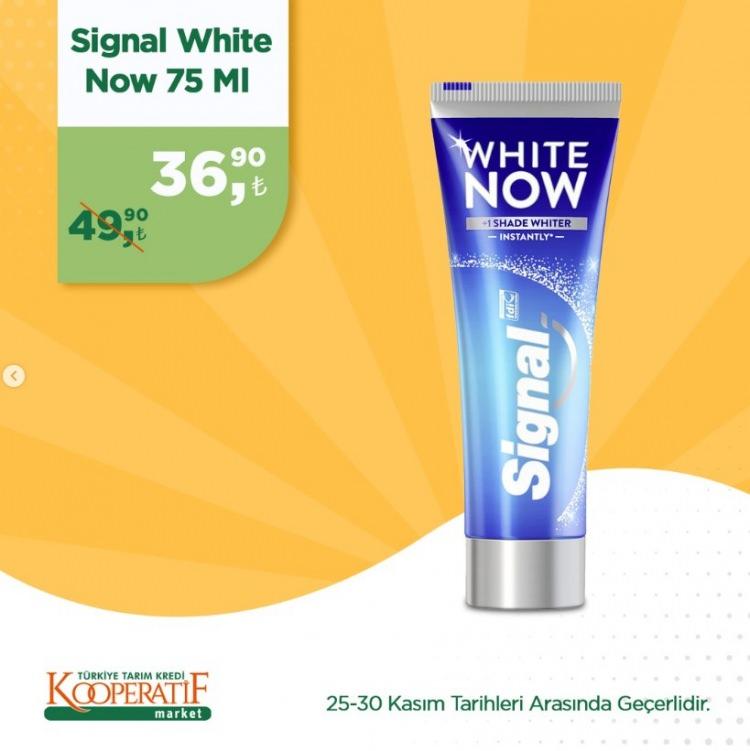 <p>Singal White Now 75 ml: 36,90 TL</p>
