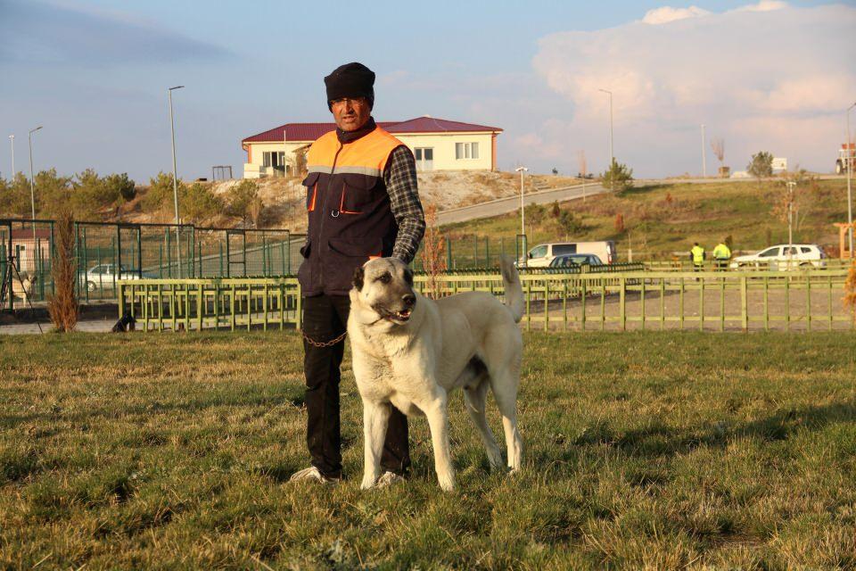 <p>Kangal köpeklerinin farklı bir talebi var, aşırı seveni var. Burası yol üzeri olduğu için ziyaretçisi çok. Daha çok şehirlerarası turlar mutlaka ziyaret ediyor. </p>