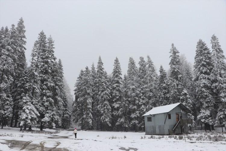 <p>DÜZCE</p>
